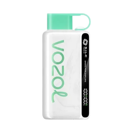 Vozol Star 9000 Disposable